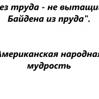 Цитата года